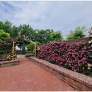 곡성-111 이미지