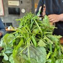 태백목장 | 이른 가을을 느끼러 간 당일치기 태백여행/태백물닭갈비 몽토랑산양목장 후기