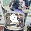 이혜진소아청소년과의원 이미지