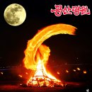 아리랑여인숙 이미지
