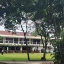 퍼플 당구장 | 세부 풀빌라와 세부 골프투어!