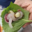 천상수산 이미지
