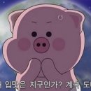 아침한의원 네이버블로그