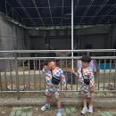 사천까샤126펜션 | 1박2일 사천 까샤126펜션