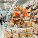 다이소 부산양정점 이미지