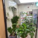 오성치과병원 이미지