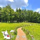 정선베다니자연농장 | 여름 정선 여행 근처 가볼만한곳 만항재 드라이브 강원도 야생화