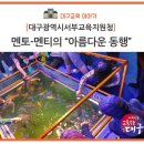 대구광역시서부교육지원청, 멘토-멘티의 "아름다운 동행" 이미지