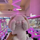 뽑기게임랜드 이미지