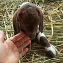 무림농장 이미지