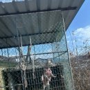 춘천 호반 펜션 이미지