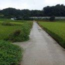 두원공인중개사사무소 이미지