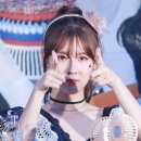 댕댕이 컷 이미지