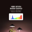 라움생