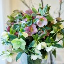 대한꽃집 이미지