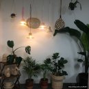 라탄 전등갓 짜기 이미지