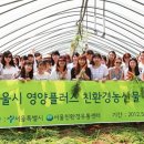 (유)플러스환경 Daum카페