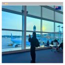 412 | 뉴질랜드 항공권 특가 오클랜드 직항 대한항공 KE411 412 후기