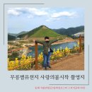 동해 무릉별유천지 열차 알파인 코스터 스카이글라이더 다양한 체험 사랑의불시착 촬영지 가볼만한곳
