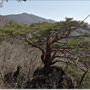 상고암 - 1603 | 상고암