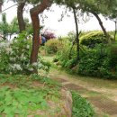 양치기소녀 이미지