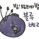 포스트카드오피스 이미지