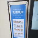 구펍 | [2023-5] 속초 롯데리조트 R.9PUP 구펍 런치 후기