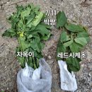 비티 이미지