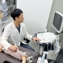 사상동물병원 | 사상구동물병원, 95% 보호자님들은 이것으로 만족 여부를 결정짓습니다!