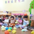 해빛태권도 이미지