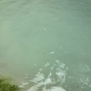 필리핀 세부 &#34;세부야안녕&#34; 투어 후기 - 오슬롭/투말록/수밀론