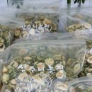 여주-0704 이미지