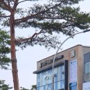 토리헤어호수공원점 | 순천 미용실 토리헤어::염색잘하고 호수공원 뷰맛집★