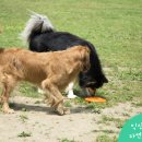 익산약국 이미지