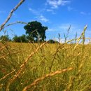 오산농축산 이미지