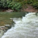 솔향기펜션 | 속리산둘레길 가까워 산책까지 좋았던 솔향기펜션 이용 후기