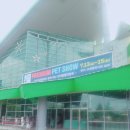 봉이네 애견미용 | 프리미엄펫쇼in일산 후기♥.♥