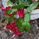 보성헤어 이미지