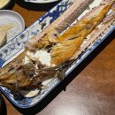 마쯔 | 신중동맛집 신중동이자카야 숙성회 찐맛집, 마쯔 내돈내산 후기