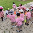 남선미유치원 이미지