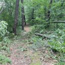 오읍약수터 이미지