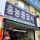 흥농종묘사