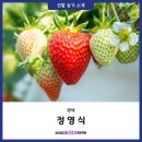 정영식농장 이미지