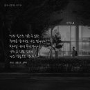 꽃이피는시간 이미지