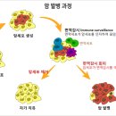 면역세포치료제 수혜주 총 출동--급등주 속출 이미지