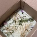 압화&보존화공예 | 셀프 부케 기프트/생화 레진 아트 DIY]꽃다발 평생 보관, 부케선물 - 추천 몰드, 드라이 플라워 꿀팁, 후기