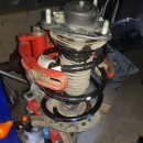 애니카랜드 화원점 이미지