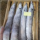 2월 11일(금) 목포는항구다 생선카페 판매생선[ "추천" 대갈치(4미, 3미) / 달돔살, 젓갈류, 홍어 ] 이미지