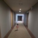 돌리네시골집 | [홍천] 돌, 세돌아기들과 비발디파크 비추천후기