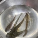 하늘아래펜션2